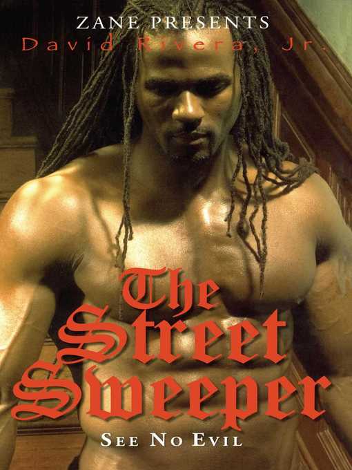 Title details for The Street Sweeper by David Rivera - Available